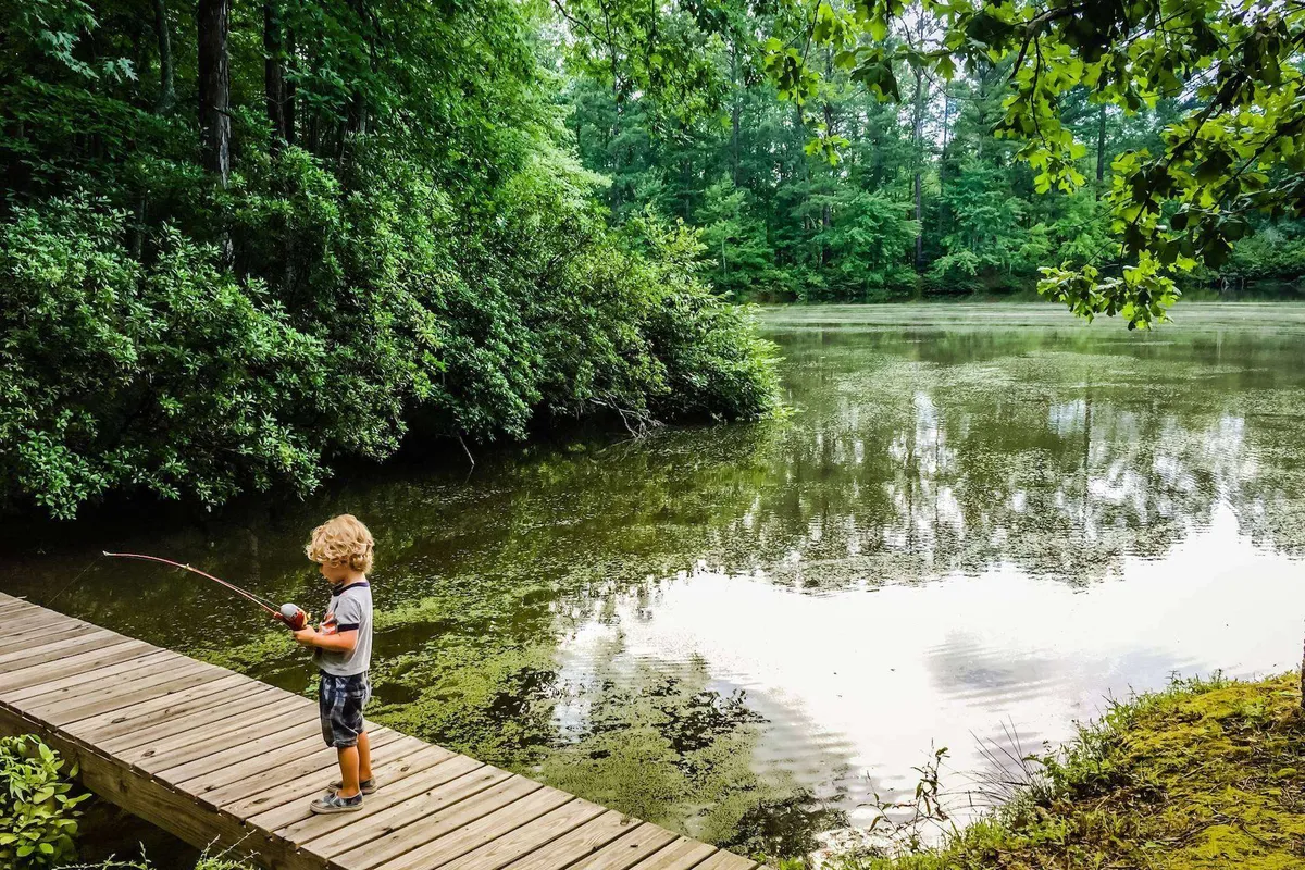 A quiet wooden dock stretches over calm water, surrounded by vibrant green trees. A child is seen fishing, capturing the peacefulness and recreational opportunities of the area.