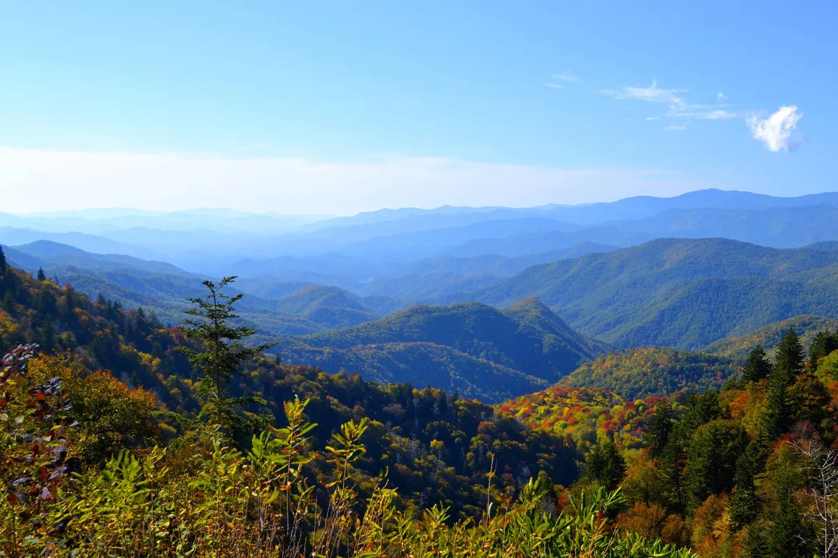 A breathtaking view of a mountain range bathed in soft sunrise light, framed by vibrant autumn foliage and a vast sky overhead. The image conveys a sense of tranquility and expansive natural beauty, ideal for moments of reflection.